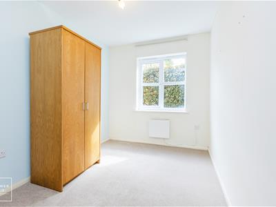 Picture 15